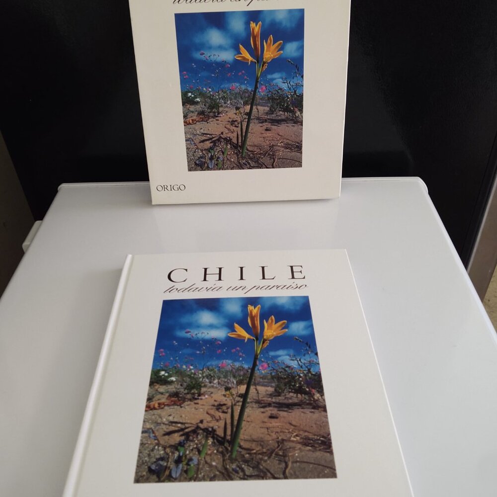 CHILE TODAVIA UN PARAISO ORIGO BOOK WITH COVER CASE CHILE STILL A PARADISE